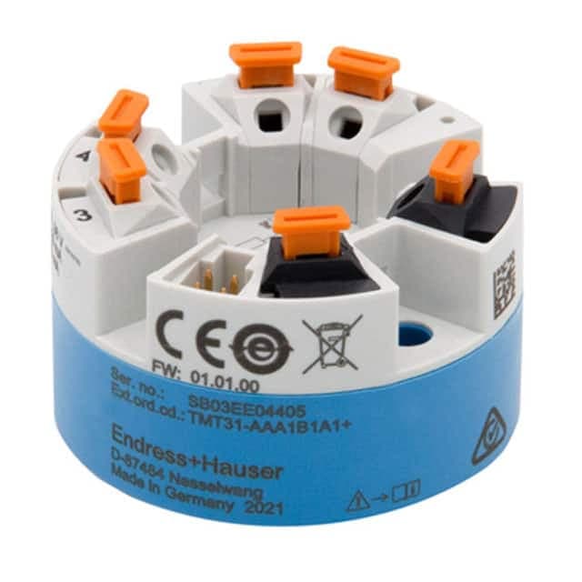 TMT31-CAA1B1A1 representative package visual — not an exact-product photograph