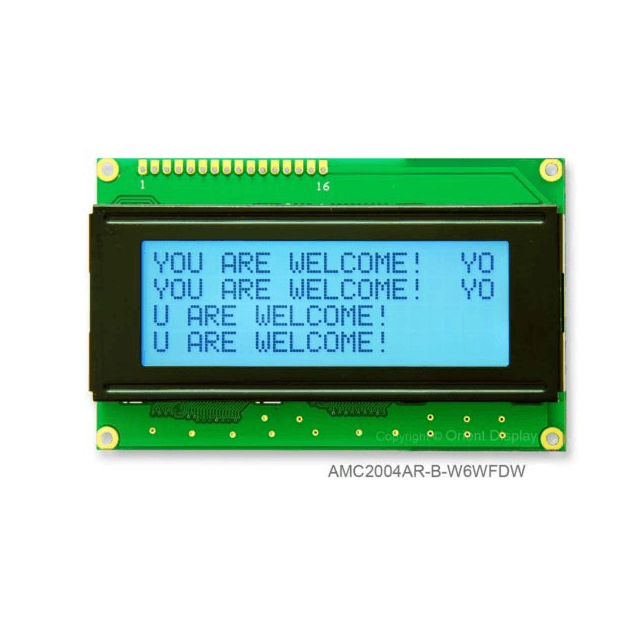 AMC2004AR-B-W6WFDW representative package visual — not an exact-product photograph