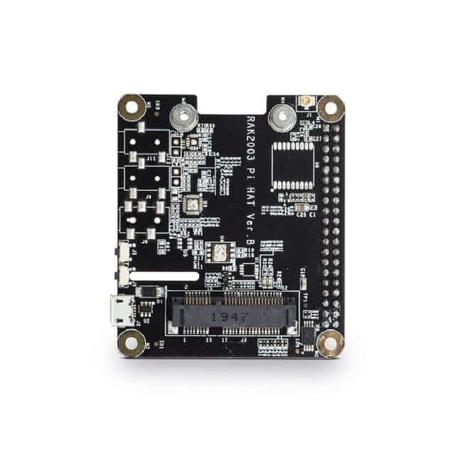 RAK2287/RAK5146 representative package visual — not an exact-product photograph