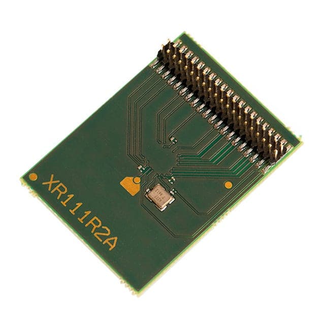 XR111 representative package visual — not an exact-product photograph