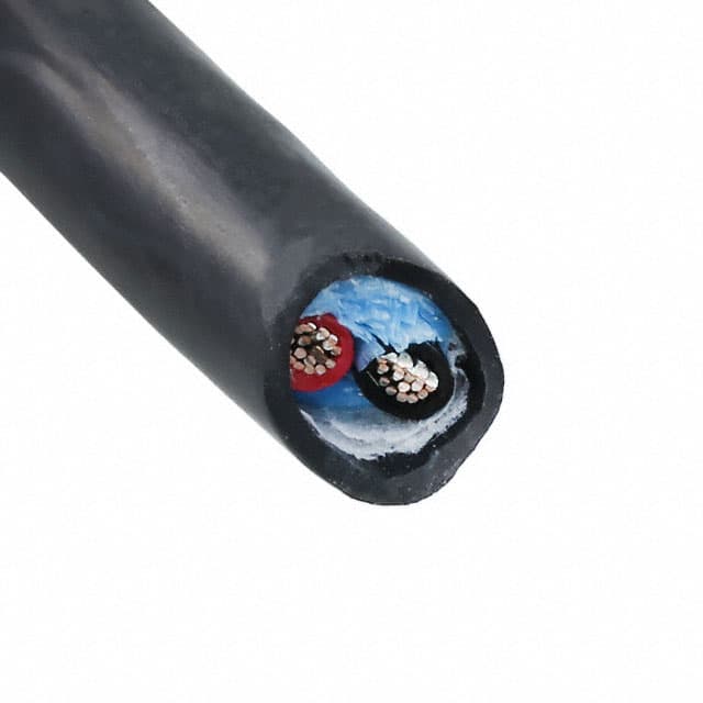 25062 BK199 vendor-delivered product or package visual