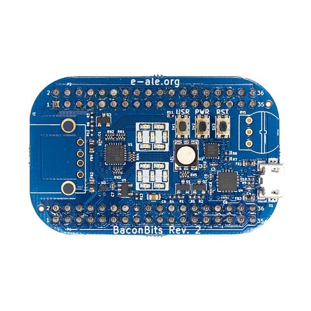 Baconbits-R2 representative package visual — not an exact-product photograph